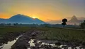 5 Spot Paling Mantap untuk Nikmati Sunrise Sambil Hirup Udara Segar di Jawa Barat, Cocok Buat Healing Sejenak