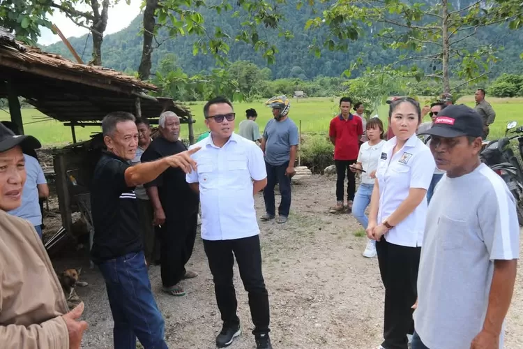 Bupati Morut Delis kemeja putih