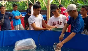 Mengenal Budidaya Nila dengan Metode Bioflok : Limbah Ikan hingga Sisa Pakan Disulap Makanan Tambahan