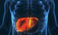 Hati-Hati, Ini Ciri Fatty Liver yang Kerap Diabaikan!