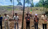 Ketahanan Pangan Jadi Prioritas, Polres Padangsidimpuan Tanam Jagung Pipil