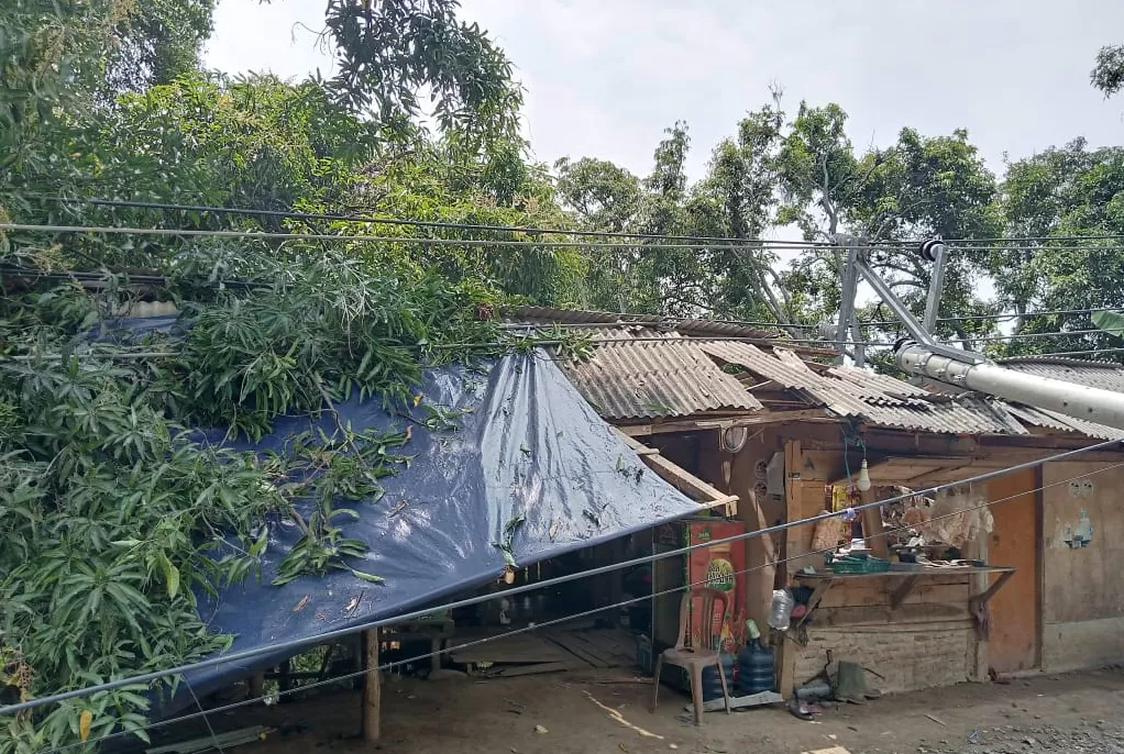 Tiang Listrik Roboh Timpa Warung di Kawasan Geopark Ciletuh Sukabumi  (Rudi Imelda )