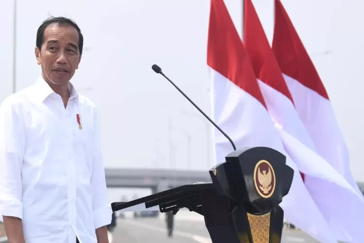 Dedi Kurnia Syah ungkap peran Presiden Jokowi dalam politik dan intervensi dinasti politik yang dianggap merusak tatanan demokrasi. (Instagram  @Jokowi)