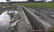 Setelah 20 Tahun, Petani Desa Labean Miliki Jaringan Irigasi, 300 Hektar Sawah Bisa Dialiri Air