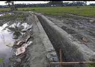 Setelah 20 Tahun, Petani Desa Labean Miliki Jaringan Irigasi, 300 Hektar Sawah Bisa Dialiri Air