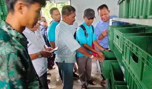 Kelurahan Limo Depok Luncurkan Rumah Maggot, Ditarget Dua Pekan Sudah Panen