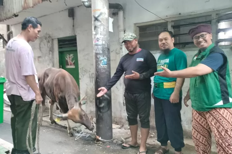 PD PERSIS Jakarta Pusat Sebar Hewan Kurban Keliling di Masjid Darussalam, Jakarta