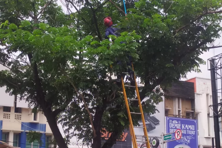 Situasi saat Petugas Damkar Depok mengevakuasi Ular Sanca di Jalan  Margonda Raya, Kelurahan Pondok Cina, Kecamatan Beji, Kota Depok, Minggu (13/4) Siang.  (RISKY DWI LESTARI/RADARDEPOK)
