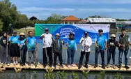 Aksi Konservasi: Sinar Mas Land Tanam 5.500 Mangrove dan Lepas 100 Belangkas Tapal Kuda di Kab Tangerang