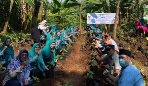 Kelurahan Se-Cinere Depok Tanam Ratusan Pohon Cabai 