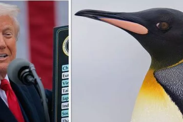 Tak waras! Donald Trump kenakan tarif dagang tinggi di Pulau tanpa Manusia, Hanya ada Penguin!
