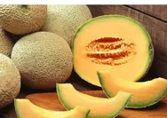 Di Balik Manisnya Melon,Mengungkap Mitos dan Fakta, serta Efek Samping yang Mungkin Terjadi