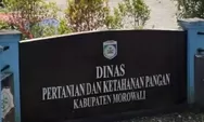 Anggaran Fisik Perubahan 2025 Dinas Pertanian Morowali Mengendap, Padahal Perencanaan Sudah Matang