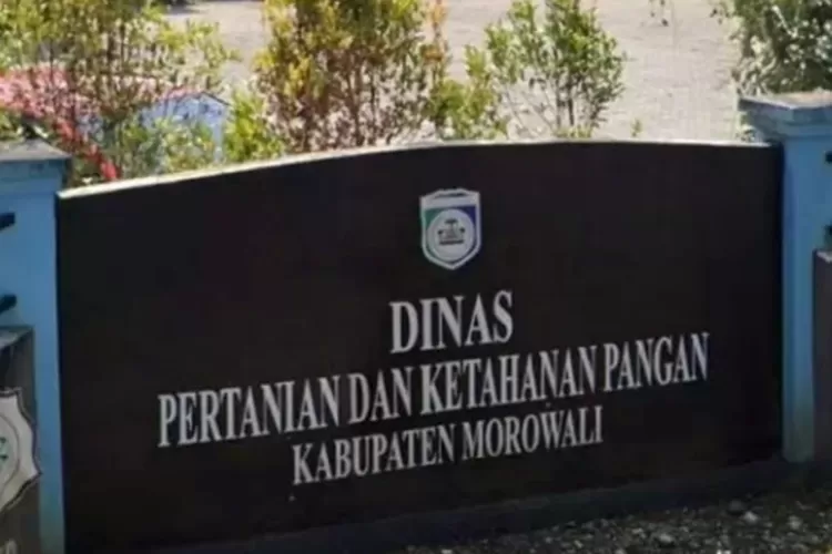 Kantor Dinas Pertanian Morowali (Ist)