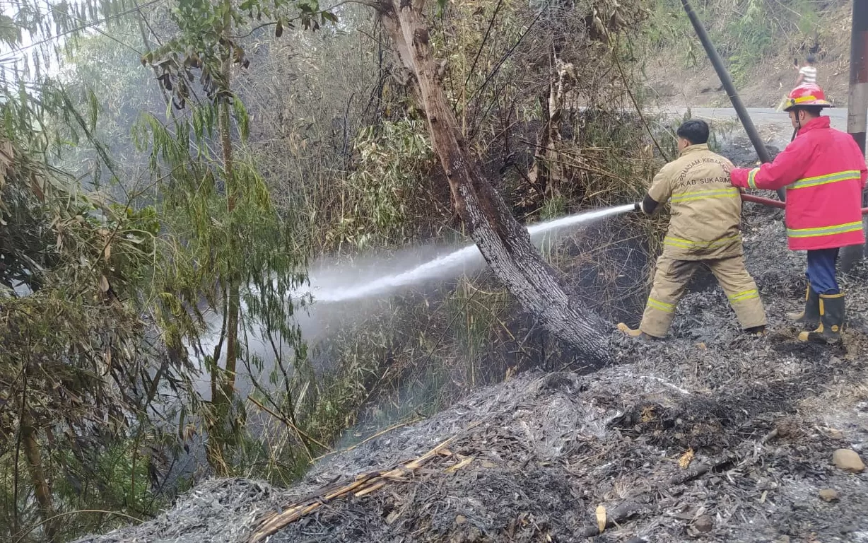 Karhutla milik Perum Perhutani Sukabumi wilayah Jampangtengah, Pemadaman oleh Damkar Cikembar  (Rudi Imelda / TatarMedia.ID)