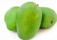 Buah Mangga Bisa Kembalikan Cadangan Vitamin dan Mineral Tubuh saat Ibadah Puasa