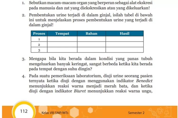 Kunci Jawaban IPA Kelas 8 SMP Halaman 112, 113 Uji Kompetensi B: Organ ...