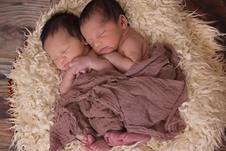 Ilustrasi, cara meningkatkan peluang hamil anak kembar (Pixabay)
