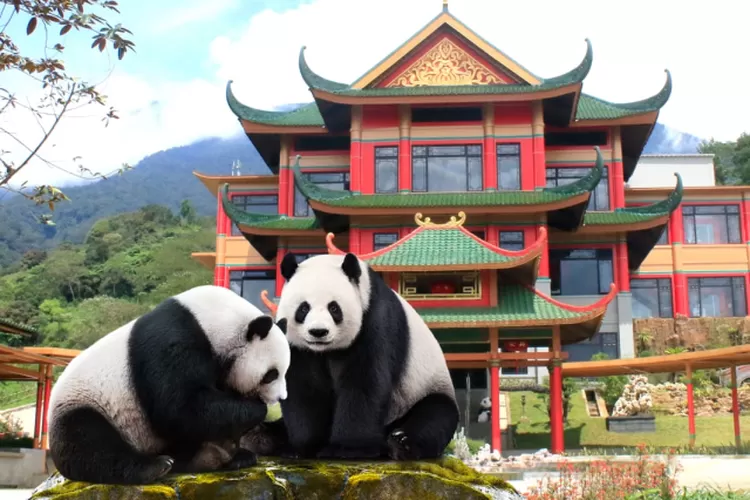 Istana Panda yang ada di Taman Safari Bogor, menghadirkan satwa lucu asal Tiongkok.