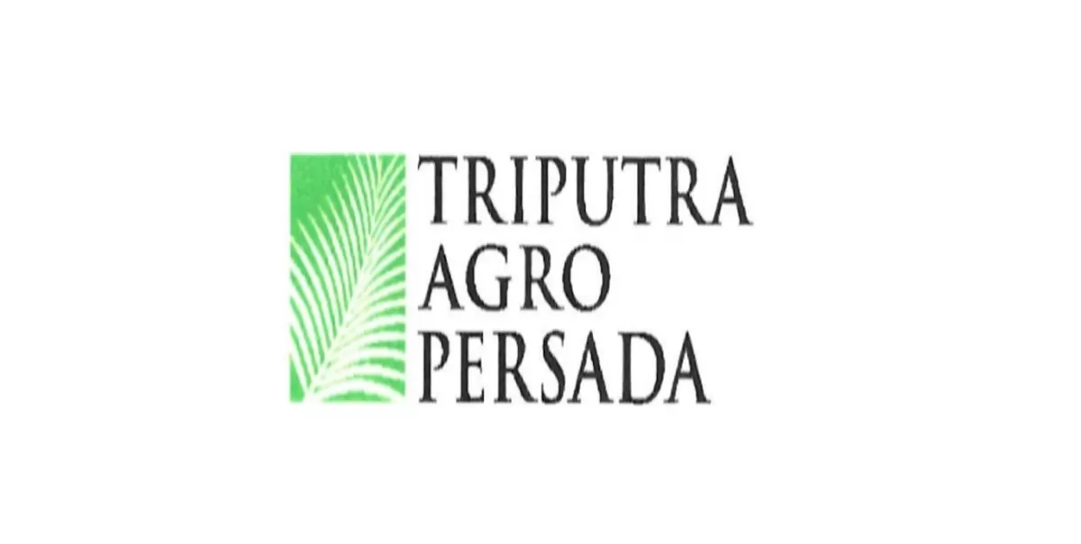 Direksi PT Triputra Agro Persada Tbk Umumkan Jadwal Bagi Dividen Interim Saham TAPG Tahun 2026 (Kalimantansatu.com)
