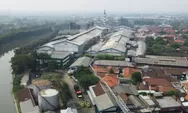 2.500 Karyawan PT Pakerin Terancam PHK ! Kemenperin Siapkan Dukungan dan Berupaya Aktifkan Produksi Kertas Karton yang Terhenti Sejak Desember 2024