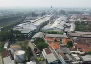 2.500 Karyawan PT Pakerin Terancam PHK ! Kemenperin Siapkan Dukungan dan Berupaya Aktifkan Produksi Kertas Karton yang Terhenti Sejak Desember 2024