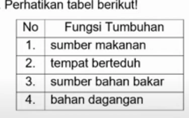 10 Contoh Soal Penilaian Harian IPAS Kelas 4 Kurikulum Merdeka ...