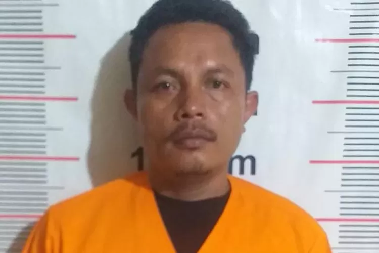 Seorang pria bernama Erwin alias Botak (38), warga Jalan Sei Batang Hari I, Lingkungan V, Kelurahan Tanah Seribu, Kecamatan Binjai Selatan, Kota Binjai, ditangkap