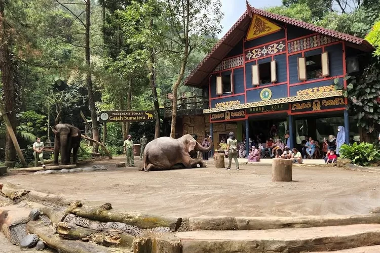 8 Wisata Keluarga di Bogor yang Enak Banget Buat Quality Time Bareng Pas Libur Lebaran, Mulai Kebun Raya Bogor Hingga Taman Safari (Gmaps/erwin pramono)