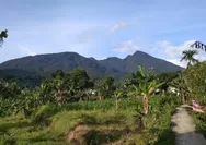 Gerakan Pemuda Cijeruk Jaga Lingkungan Gunung Salak Dapat Apresiasi dari Banyak Pihak