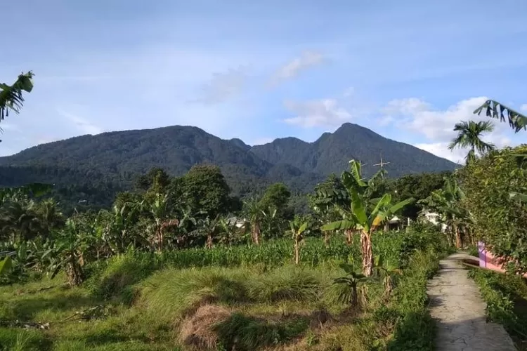 Gerakan Pemuda Cijeruk Jaga Lingkungan Gunung Salak Dapat Apresiasi dari Banyak Pihak (Gmaps/fata Jundulloh)