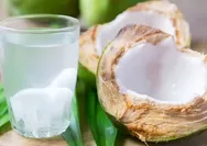 Ternyata Air Kelapa Sangat Bermanfaat untuk Tubuh saat Berbuka Puasa