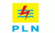 Aturan Baru Masa Jabatan Direksi PLN, Ujian Konsistensi Reformasi BUMN