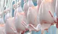 Optimisme WMPP Kala Proyeksi Konsumsi Daging Nasional Meningkat, Bos Widodo Makmur Perkasa Bocorkan Target Kinerja 2026
