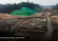 Tidak Mau Mirip dengan Jakarta, Ridwan Kamil Minta IKN Nusantara Usung Konsep Forest City