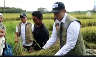 Bulog Nasional Pecahkan Rekor Serapan, Semarang Bukukan Capaian Lebih dari 51 Ribu Ton