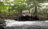 Sulap Hutan Pinus Gowa Jadi Basecamp ICCN Sulawesi di Desa Belabori: Ruang Kolaborasi Ekonomi Kreatif Berbasis Alam