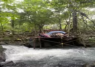 Sulap Hutan Pinus Gowa Jadi Basecamp ICCN Sulawesi di Desa Belabori: Ruang Kolaborasi Ekonomi Kreatif Berbasis Alam