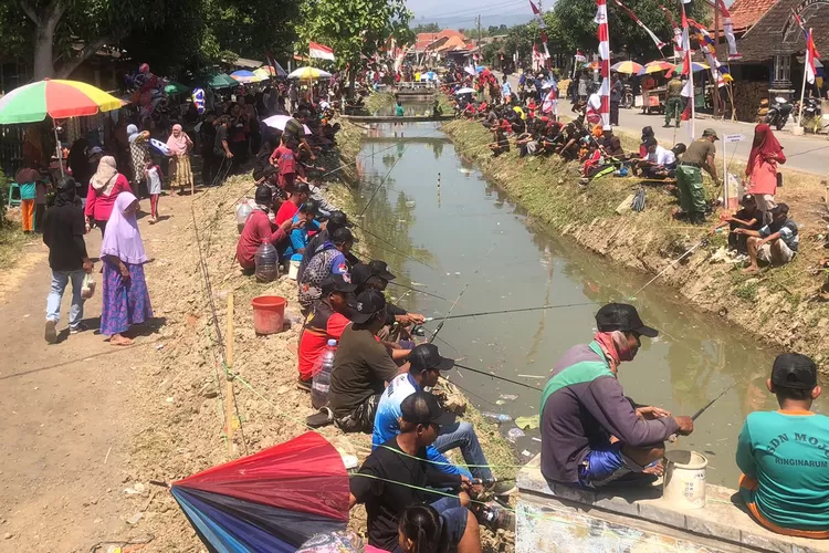 Suasana lomba memancing di saluran irigasi Sojomerto Kiri di Desa Mojo Kecamatan Ringinarum Sabtu 24 Agustus 2024.  (edi prayitno/kontributor Kendal)