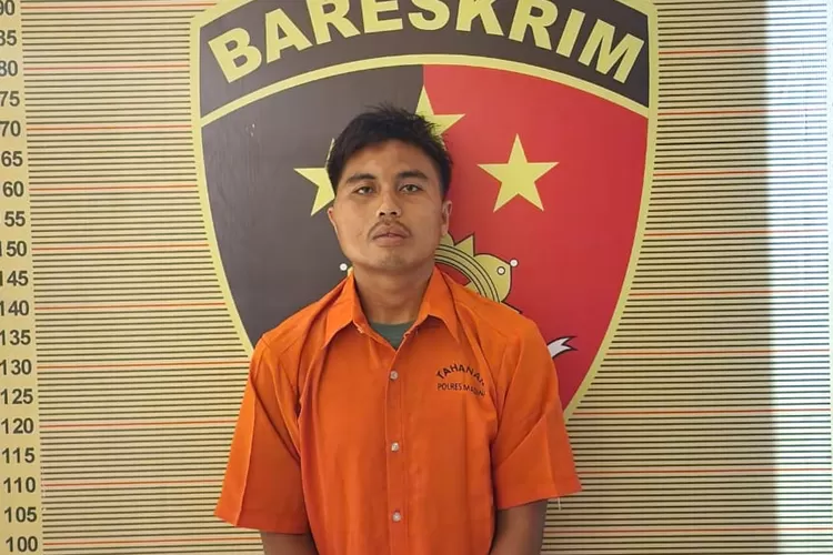 Pelaku pembunuhan Siswi pasca pulang dari latihan Paskibra di kecamatan Natal. (Realitasonline.id - ist)