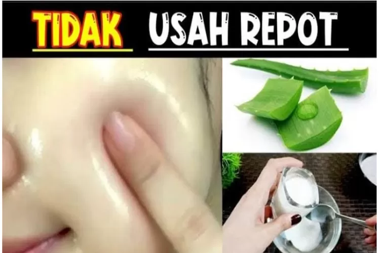 Lengkap Dengan Cara Pakainya Ini Bahan Alami Bantu Rawat Kulit Agar