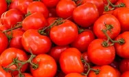 manfat tomat ternyata bisa menurunkan berat badan