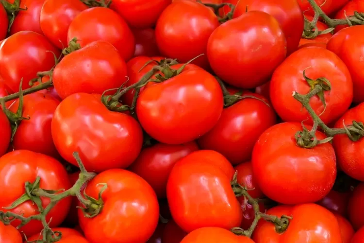Tomat itu masuk buah atau sayuran? (Foto: pexels / Pixabay)