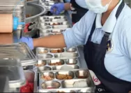 BGN Ungkap 950 Dapur MBG Diduga Tak Higienis, Terancam Ditutup Permanen