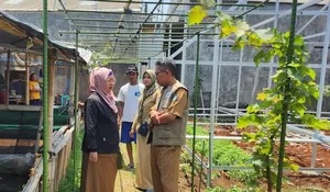 Menuju Kemandirian Pangan, Ini yang Dimiliki Kelurahan Tirtajaya Depok : Poktan jadi Jalan Keluar