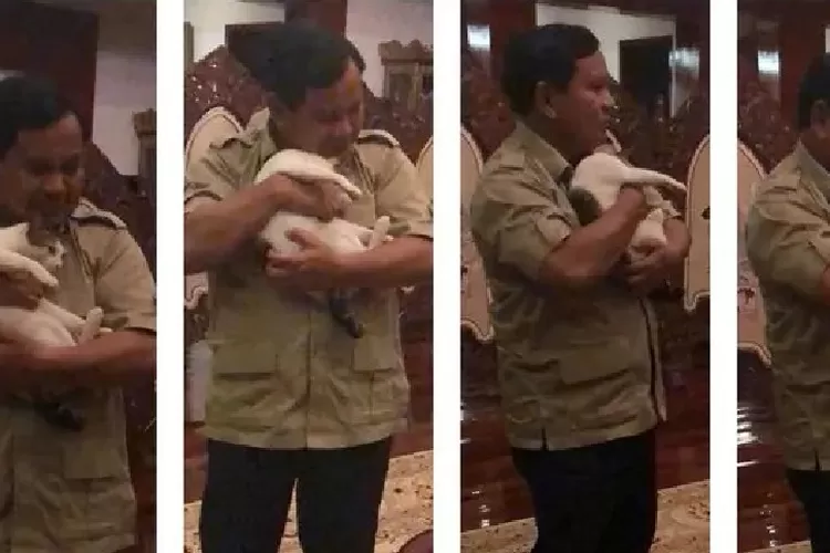 Prabowo dan Bobby, kucing kesayangannya. Deddy Corbuzier dalam podcastnya dengan Prabowo menanyakan apakah Bobby akan diboyong ke istana. 