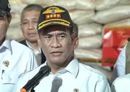 Cadangan Meningkat, Malaysia Ingin Beli Beras 500 Ribu Ton dari Indonesia