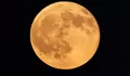 Harvest Moon Hiasi Langit Malam 26 September 2026, Ini Waktu Terbaik untuk Mengamatinya