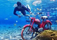Ingin Merasakan Sensasi Snorkeling Air Tawar yang Bersumber dari Mata Air Alami Sejak Zaman Belanda, Ini Lokasinya
