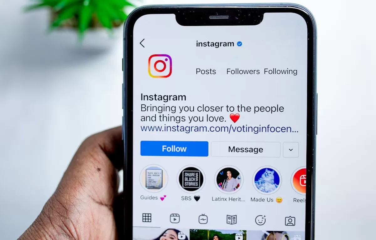 Ilustrasi Pengguna Instagram kehilangan banyak followers dalam beberapa hari terakhir karena Meta melakukan 'pembersihan' besar-besaran (Pexels/Solen Feyissa)